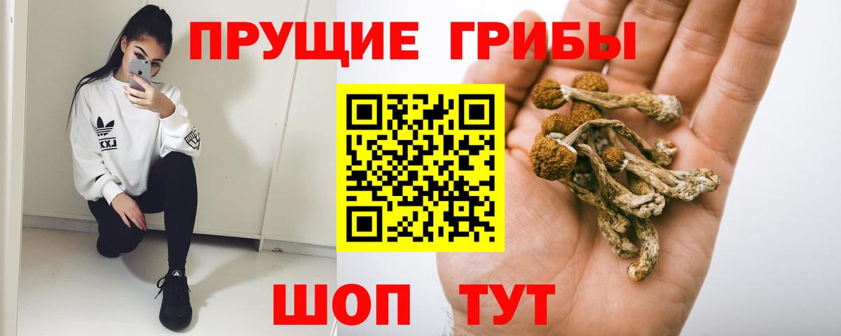 Шелехов  Псилоцибиновые грибы мухоморы  где найти   Вход с VPN 